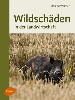 cover image of Wildschäden